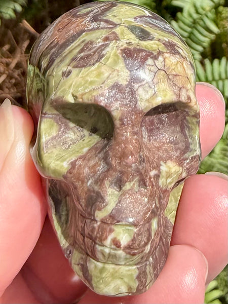 Money Agate Skull - Morganna’s Treasures