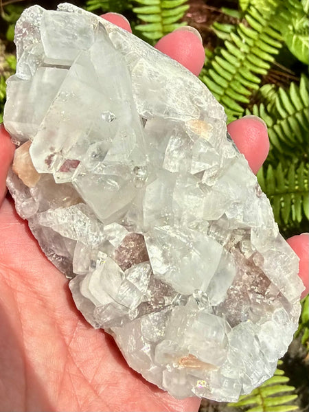 Apophyllite Cluster