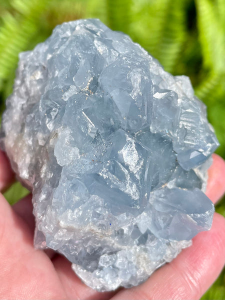 Large Celestite Cluster - Morganna’s Treasures 