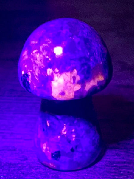 Small Yooperlite (Fluorescent Sodalite) Mushroom