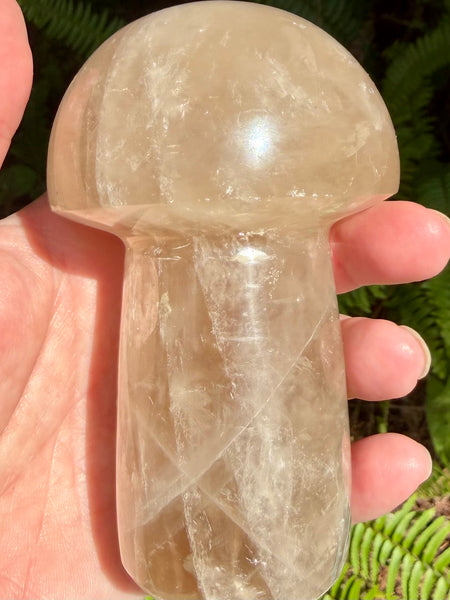 Gorgeous Smoky Quartz Mushroom - Morganna’s Treasures