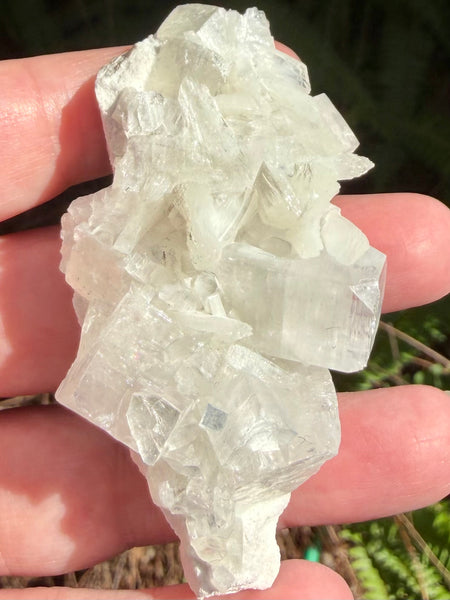 Apophyllite with Stilbite Crystal Cluster - Morganna’s Treasures