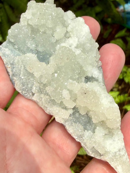 Apophyllite Cluster