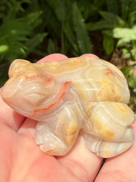 Crazy Lace Agate Frog - Morganna’s Treasures