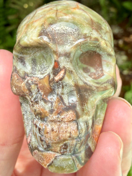 Money Agate Skull