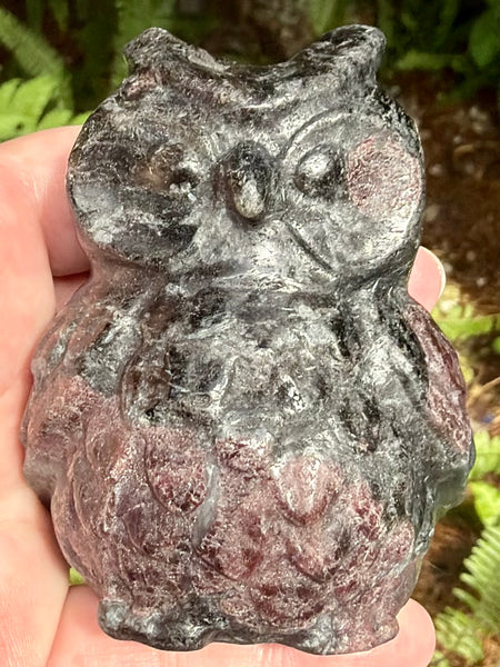 Large Garnet in Arfvedsonite Owl