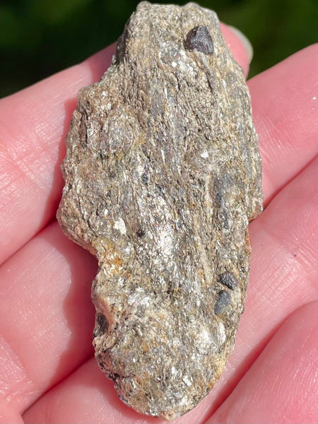 Beautiful Garnet with Mica Schist Palm Stone - Morganna’s Treasures