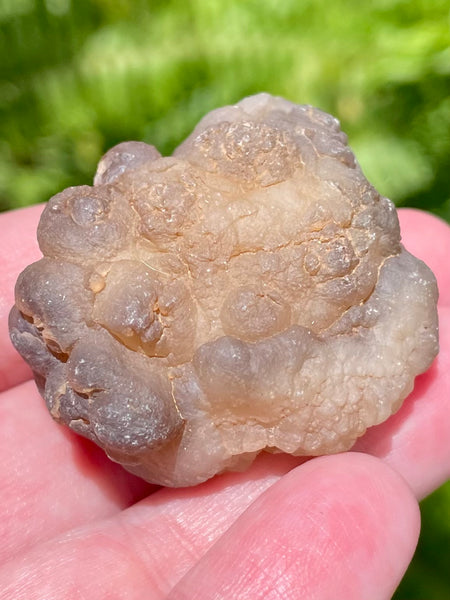 Botroyoidal Chalcedony Palm Stone - Morganna’s Treasures 