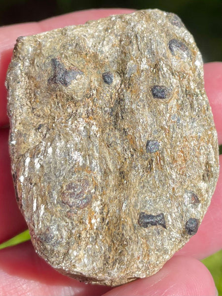 Beautiful Garnet with Mica Schist Palm Stone - Morganna’s Treasures