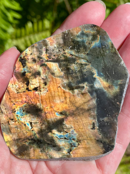 Gorgeous Labradorite Slab - Morganna’s Treasures 