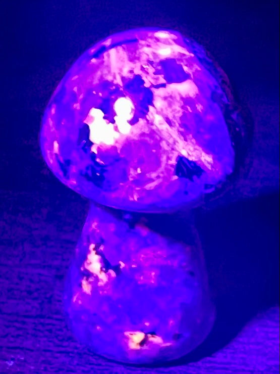 Small Yooperlite (Fluorescent Sodalite) Mushroom