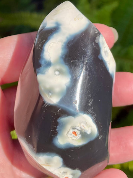 Orca Agate Flame - Morganna’s Treasures