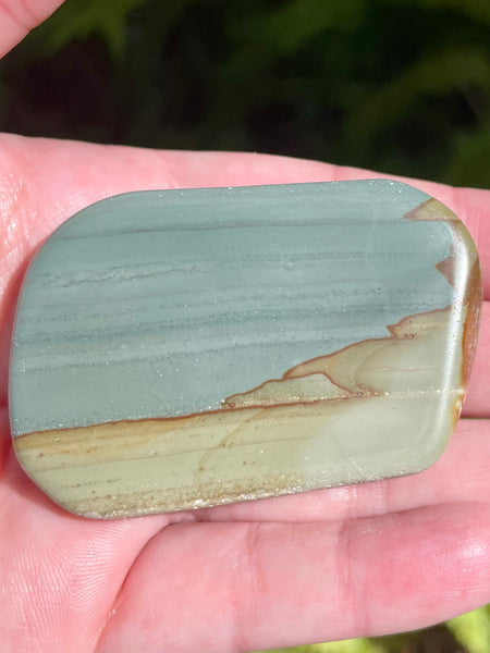 Succor Creek Picture Jasper Palm Stone - Morganna’s Treasures