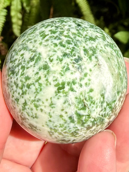 Tree Agate Sphere
