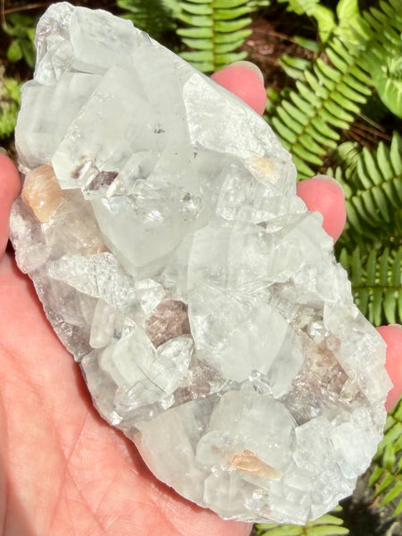 Apophyllite Cluster