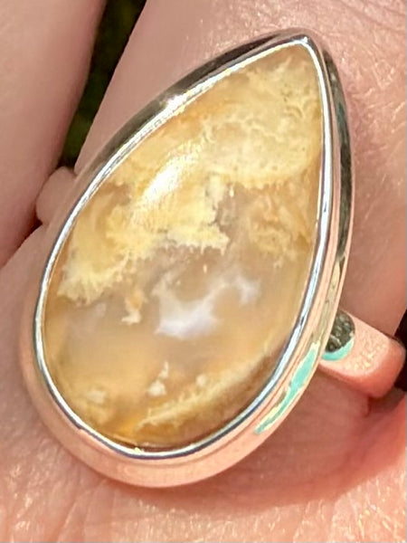 Graveyard Plume Agate Ring Size 10