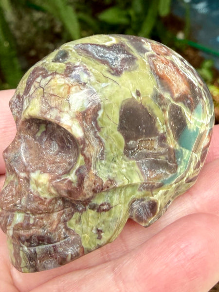 Money Agate Skull