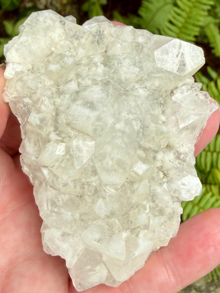 Apophyllite Cluster