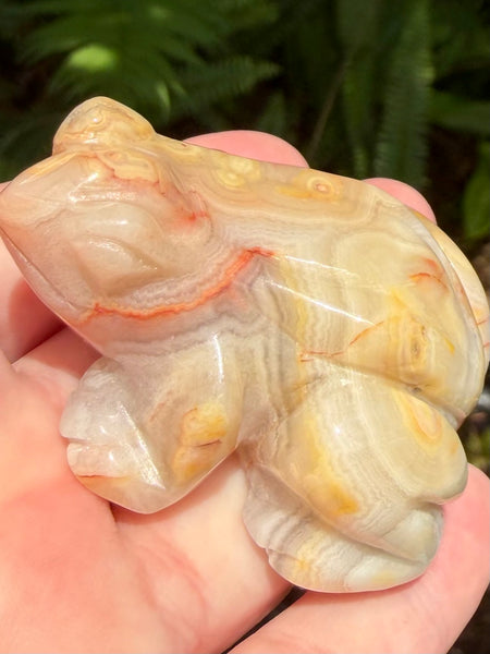 Crazy Lace Agate Frog - Morganna’s Treasures