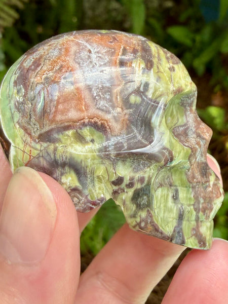 Money Agate Skull