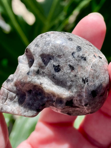 Carved Yooperlite (Fluorescent Sodalite)  Skull - Morganna’s Treasures 