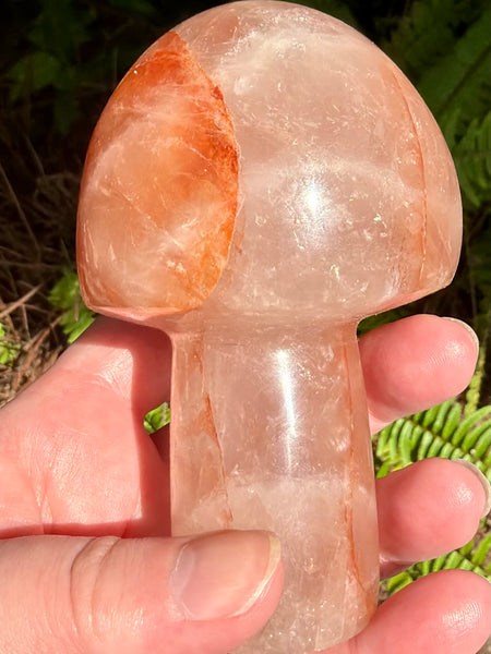 Beautiful Hematoid Quartz Mushroom - Morganna’s Treasures