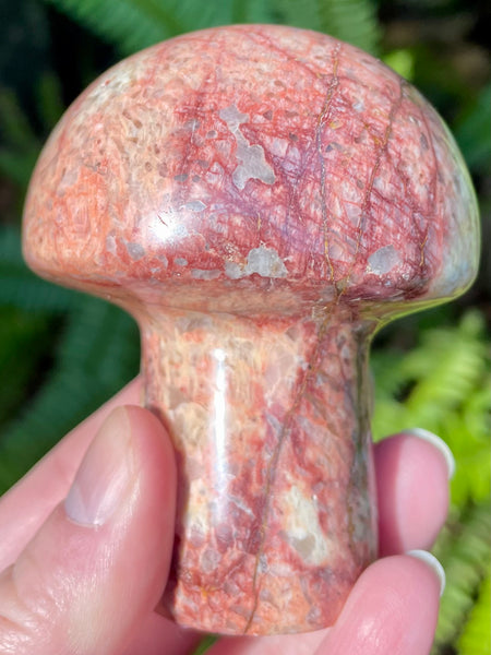 Beautiful Red Moonstone Mushroom - Morganna’s Treasures