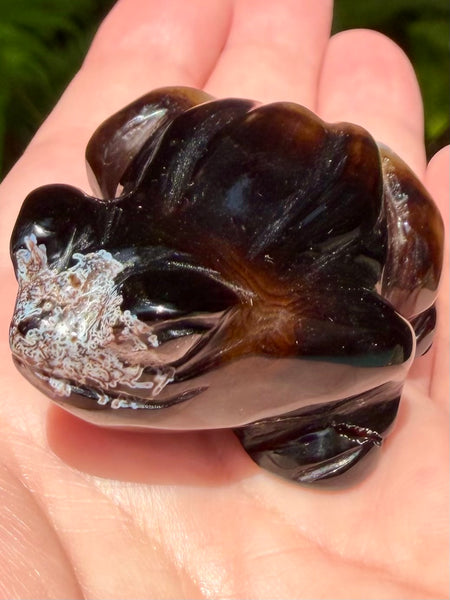 Botswana Agate Frog - Morganna’s Treasures