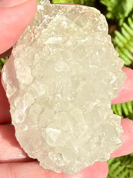 Apophyllite Cluster