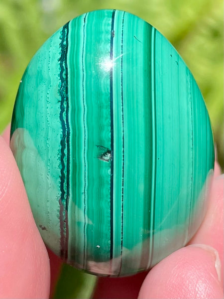 Beautiful Malachite Egg - Morganna’s Treasures