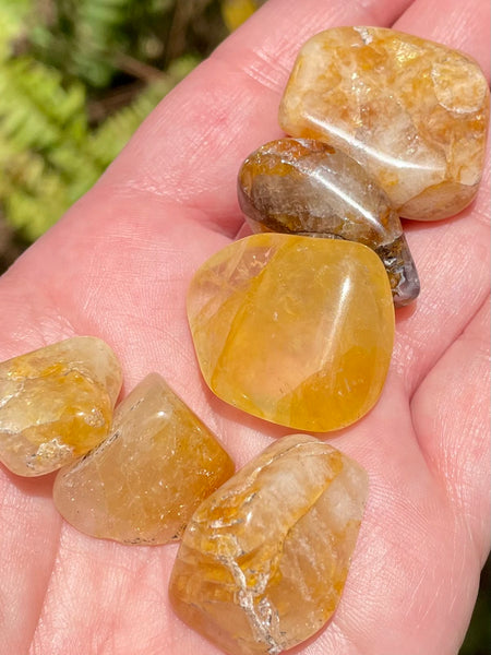 Golden Healer Quartz Tumbled Stones - Morganna’s Treasures