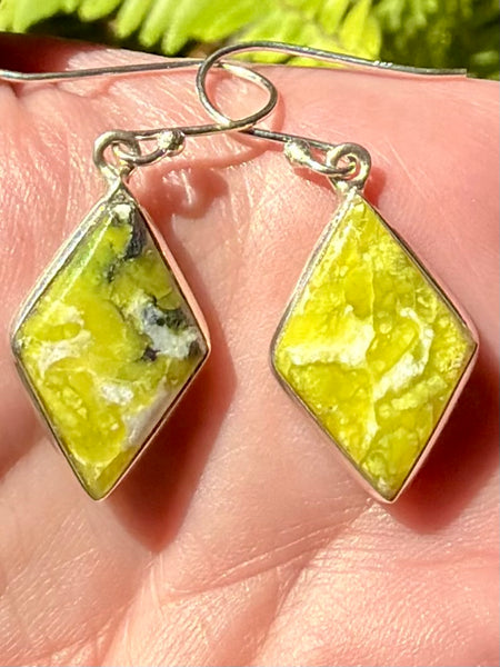 Lizardite Earrings - Morganna’s Treasures