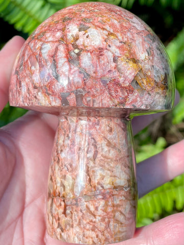 Beautiful Red Moonstone Mushroom