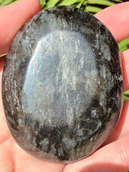 Large Astrophyllite Palm Stone