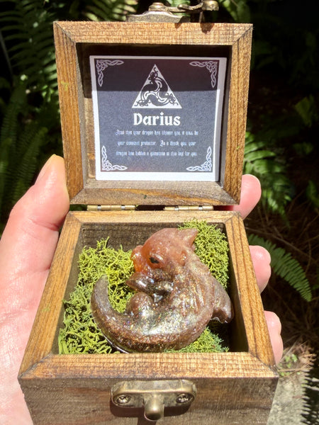 “Darius” Dragon Protector