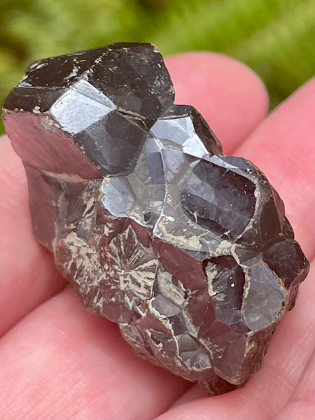 Botroyoidal Hematite from Morocco - Morganna’s Treasures 