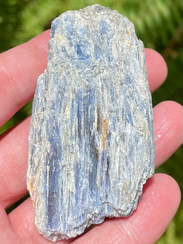 Rough Blue Kyanite - Morganna’s Treasures 