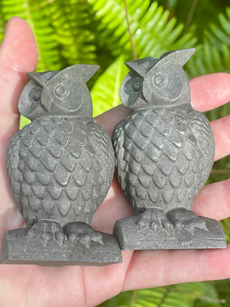 Shungite Owls - Morganna’s Treasures 