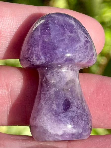 Small Amethyst Mushroom