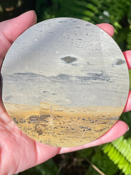 Picture Jasper Charging Plate