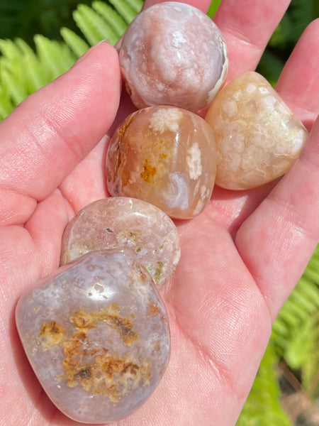 Large Flower Agate Tumbled Stones - Morganna’s Treasures 