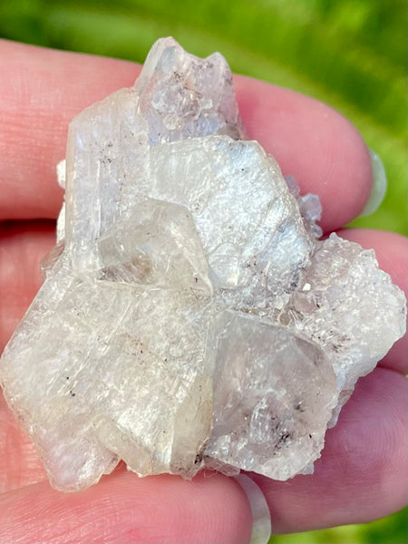 Apophyllite with Stilbite Crystal Cluster - Morganna’s Treasures 