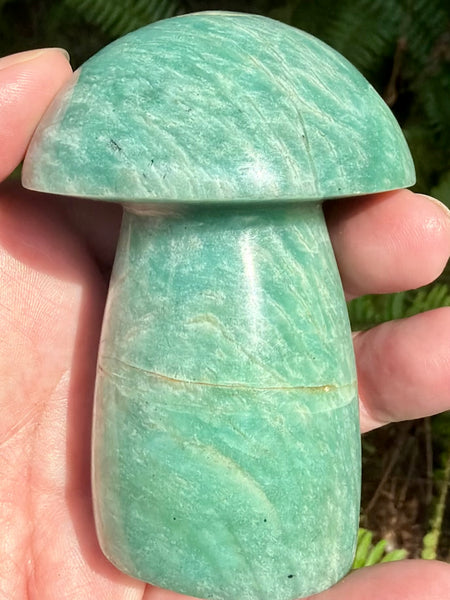 Stunning Amazonite Mushroom - Morganna’s Treasures