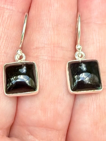 Black Onyx Earrings