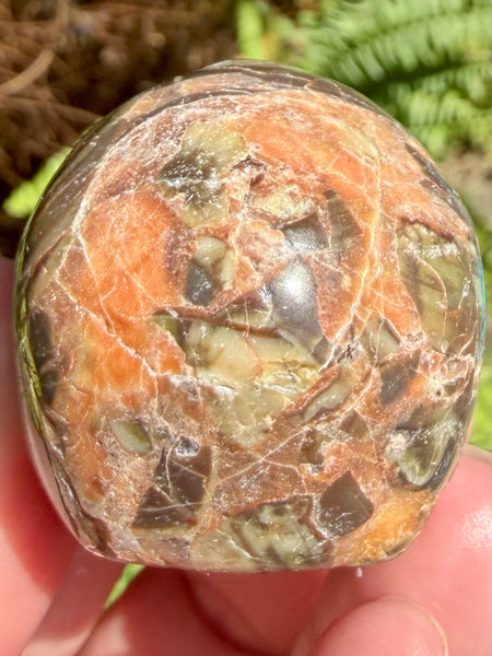 Money Agate Skull - Morganna’s Treasures