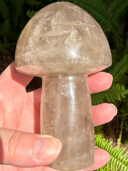 Gorgeous Smoky Quartz Mushroom - Morganna’s Treasures