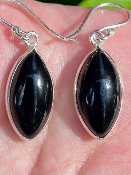 Black Onyx Earrings - Morganna’s Treasures 