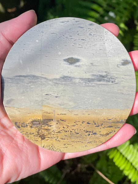 Picture Jasper Charging Plate