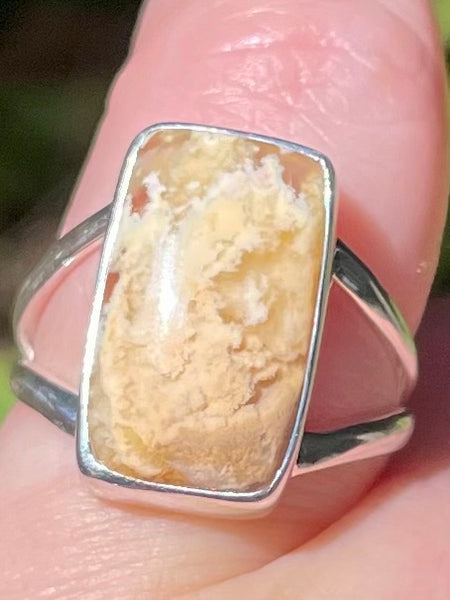Graveyard Plume Agate Ring Size 6 - Morganna’s Treasures