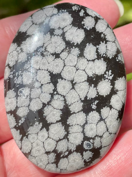 Snowflake Obsidian Palm Stone - Morganna’s Treasures